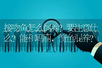 接吻鱼怎么饲养？要注意什么？能和玛丽，箭鱼混养？