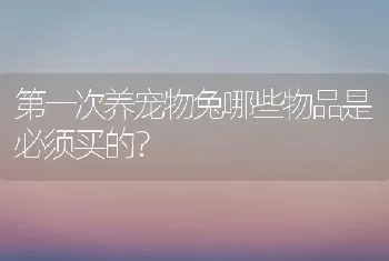 第一次养宠物兔哪些物品是必须买的？