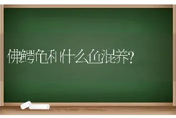 佛鳄龟和什么鱼混养？