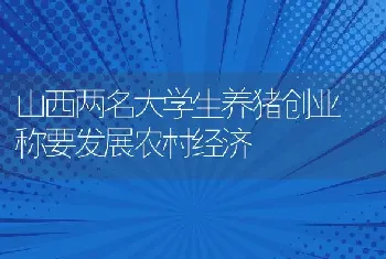 山西两名大学生养猪创业 称要发展农村经济