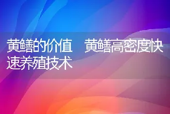 黄鳝的价值黄鳝高密度快速养殖技术