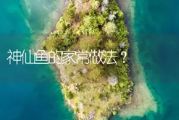 神仙鱼的家常做法？