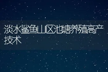 淡水鲨鱼山区池塘养殖高产技术