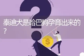 泰迪犬是哈巴狗孕育出来的？