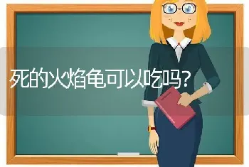 死的火焰龟可以吃吗？