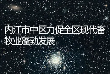 内江市中区力促全区现代畜牧业蓬勃发展