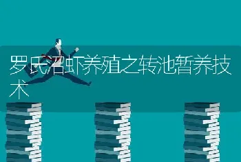 罗氏沼虾养殖之转池暂养技术