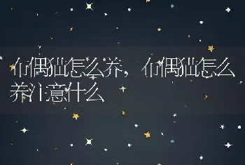 海螺品种大全集，海螺品种大全集图片及名字