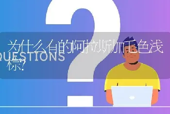 为什么有的阿拉斯加毛色浅棕？