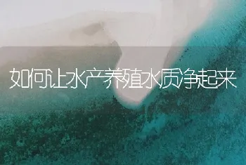 如何让水产养殖水质净起来