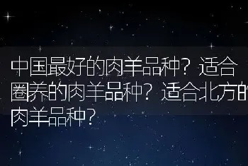 中国最好的肉羊品种？适合圈养的肉羊品种？适合北方的肉羊品种？