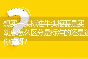 想买一头标准牛头梗要是买幼崽怎么区分是标准的还是迷你的呀？