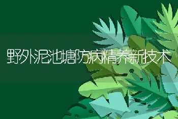 野外泥池塘防病精养新技术