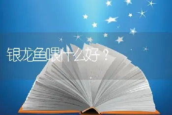 银龙鱼喂什么好？