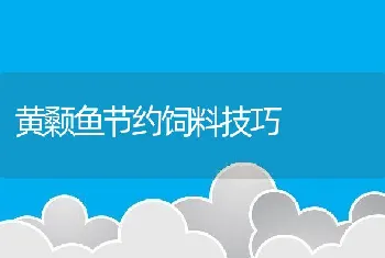 黄颡鱼节约饲料技巧