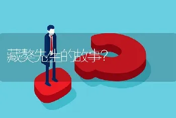 藏獒先生的故事？