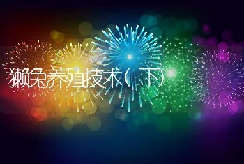 东丰型梅花鹿