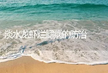 淡水龙虾烂鳃病的防治