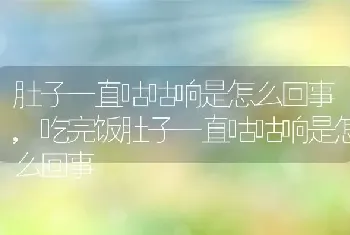 肚子一直咕咕响是怎么回事，吃完饭肚子一直咕咕响是怎么回事