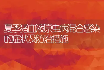 夏季猪血液原虫病混合感染的症状及防治措施