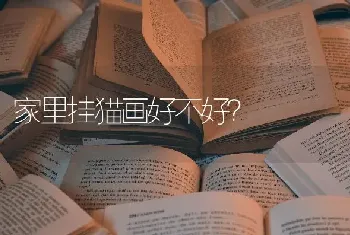 为什么动态猫会有两个方向？