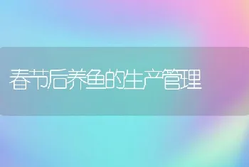 春节后养鱼的生产管理