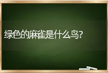 绿色的麻雀是什么鸟？