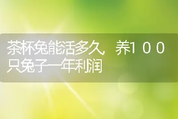 茶杯兔能活多久，养100只兔子一年利润