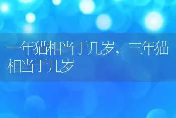 一年猫相当于几岁，三年猫相当于几岁