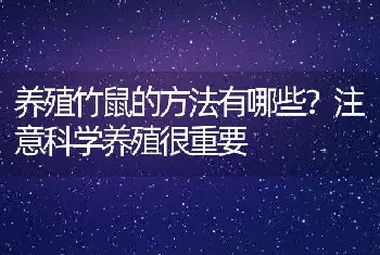 养殖竹鼠的方法有哪些？注意科学养殖很重要