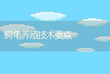 鳄龟养殖技术要点