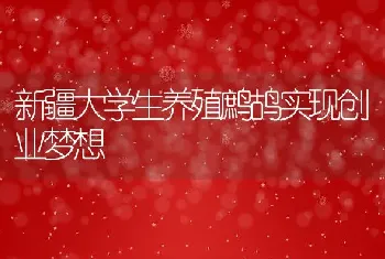 新疆大学生养殖鹧鸪实现创业梦想