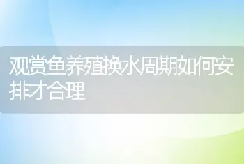 观赏鱼养殖换水周期如何安排才合理