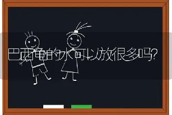 为什么喂一只公狗死一只？