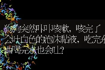 狗狗突然咔咔咳嗽，咳完了会吐白色的泡沫黏液，吃完东西喝完水也会吐？