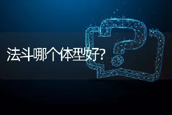 法斗哪个体型好？