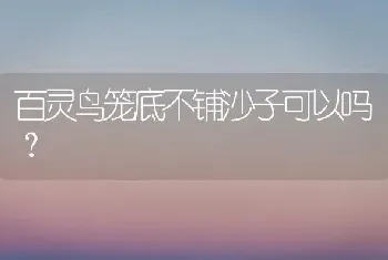 百灵鸟笼底不铺沙子可以吗？