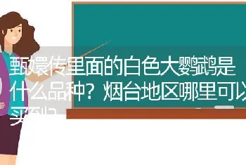 得过猫传腹的猫咪还可以生小猫吗？