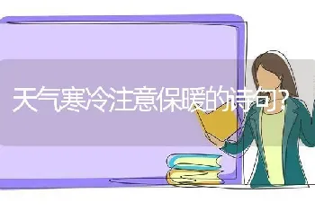 天气寒冷注意保暖的诗句？