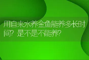 用自来水养金鱼能养多长时间？是不是不能养？