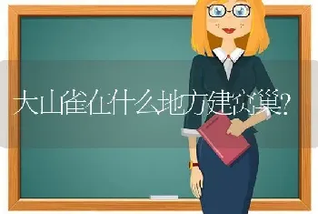 小猫一个月断奶好吗？