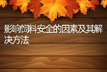 影响饲料安全的因素及其解决方法