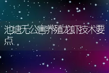 池塘无公害养殖龙虾技术要点