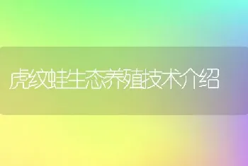 虎纹蛙生态养殖技术介绍