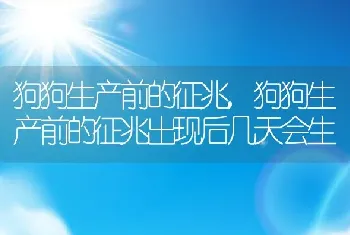 狗狗生产前的征兆，狗狗生产前的征兆出现后几天会生