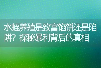 水蛭养殖是致富馅饼还是陷阱？探秘暴利背后的真相