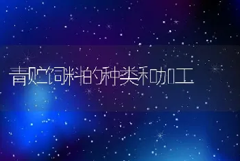 山区池塘南美白对虾养殖技术