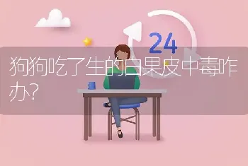 狗狗吃了生的白果皮中毒咋办？