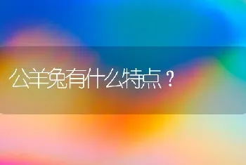 公羊兔有什么特点？