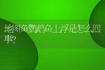 地图鱼鹦鹉鱼上浮是怎么回事？